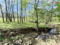 Prodej pozemku pro bydlení, Žermanice, 4646 m2