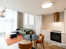 Pronájem bytu 1+kk, Praha - Holešovice, V háji, 43 m2