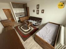 Prodej bytu 1+kk, Ostrava, Lumírova, 28 m2