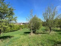 Prodej komerčního pozemku, Blansko - Klepačov, 10598 m2