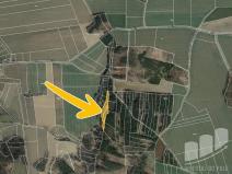 Prodej pozemku, Hlasivo, 6561 m2