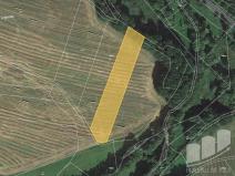 Prodej pole, Kasejovice - Podhůří, 17620 m2