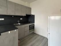 Pronájem bytu 2+kk, Praha - Vinohrady, Hollarovo náměstí, 47 m2