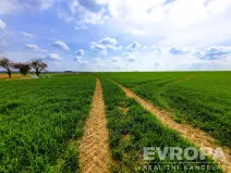 Prodej pole, Čistá, 27281 m2