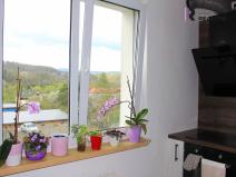 Pronájem bytu 3+1, Velichov, 69 m2