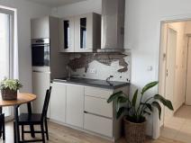 Pronájem bytu 1+kk, Plzeň - Újezd, Diamantová, 30 m2