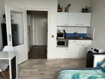 Pronájem bytu 1+kk, Brno, Halasovo náměstí, 23 m2