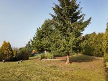 Prodej pozemku pro bydlení, Traplice, 1087 m2