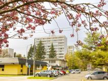 Prodej bytu 3+kk, Pardubice - Polabiny, Bělehradská, 60 m2