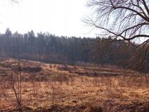 Prodej pozemku pro bydlení, Janská, 22894 m2