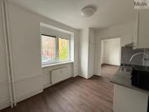 Pronájem bytu 3+1, Litvínov - Chudeřín, Horská, 58 m2