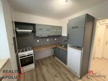 Pronájem bytu 1+1, Dolní Benešov, Osada míru, 30 m2