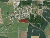 Prodej lesa, Měšice, 41239 m2