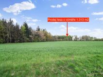 Prodej lesa, Holetín - Horní Holetín, 1313 m2