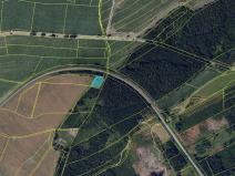 Prodej lesa, Holetín - Horní Holetín, 1313 m2