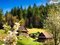 Prodej chalupy, Hutisko-Solanec - Solanec pod Soláněm, 300 m2
