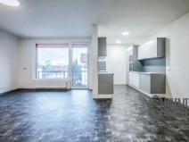 Pronájem bytu 3+kk, Liberec, Puchmajerova, 91 m2
