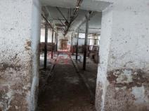 Prodej zemědělského objektu, Postoloprty - Levonice, 326 m2