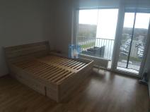 Pronájem bytu 1+kk, Plzeň, Na Chmelnicích, 37 m2