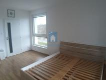 Pronájem bytu 1+kk, Plzeň, Na Chmelnicích, 37 m2