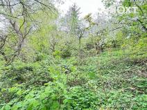Prodej zahrady, Žatec, 2070 m2