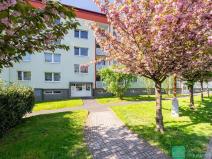 Prodej bytu 2+kk, Osek, Sokolská, 43 m2