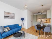 Prodej bytu 2+kk, Praha - Vinohrady, Perucká, 46 m2