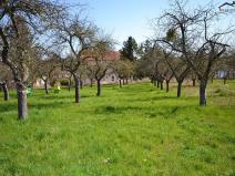 Prodej zahrady, Bučovice, 363 m2