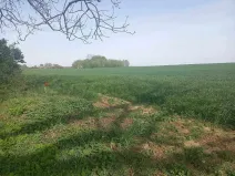 Prodej pozemku pro bydlení, Tvarožná, 750 m2
