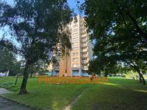Pronájem bytu 1+kk, Orlová - Lutyně, Masarykova třída, 27 m2