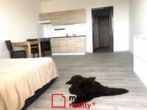 Pronájem bytu 1+kk, Olomouc - Nové Sady, Voskovcova, 38 m2