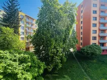 Pronájem bytu 3+1, České Budějovice, L. M. Pařízka, 62 m2