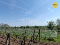 Prodej sadu/vinice, Hrušky, 1110 m2