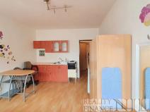 Pronájem bytu 1+kk, Plzeň, Říční, 27 m2