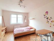 Pronájem bytu 1+kk, Plzeň, Říční, 27 m2