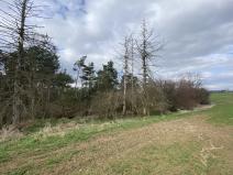 Prodej lesa, Slavičky - Pozďátky, 560 m2