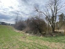 Prodej lesa, Slavičky - Pozďátky, 560 m2