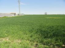 Prodej komerčního pozemku, Úhonice, Na Vlečce, 12268 m2