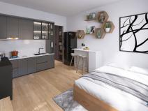 Prodej bytu 1+kk, Karlovy Vary, Východní, 19 m2