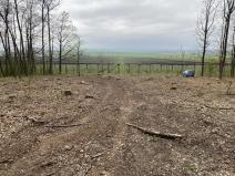 Prodej lesa, Bílé Podolí, 5201 m2