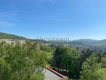 Prodej bytu 2+kk, Ústí nad Labem - Krásné Březno, Vojanova, 48 m2