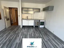 Pronájem bytu 1+kk, Teplice, Krušnohorská, 31 m2