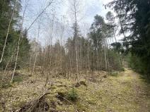 Prodej lesa, Pačejov - Strážovice, 1511 m2