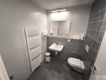 Prodej bytu 1+kk, Olomouc, Wolkerova, 33 m2