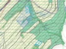 Dražba louky, Nový Malín, 8869 m2