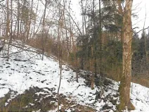 Prodej lesa, Přibyslav, 1214 m2