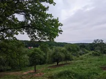 Prodej pozemku pro bydlení, Březnice, 800 m2
