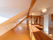 Prodej bytu 4+kk, Olomouc, Litovelská, 134 m2
