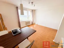 Pronájem bytu 1+kk, Brno, Svážná, 27 m2