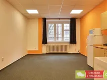 Pronájem bytu 1+kk, Praha - Žižkov, Biskupcova, 31 m2